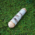 White Birch Tree Log // Bolster Pillow