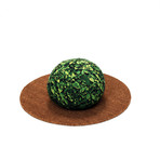 Topiary Ball Beanbag Chair // Ficus (Small)