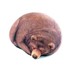 Sleeping Grizzly Bear // Beanbag