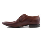 Plain Toe Derby // Brown (Euro: 45)