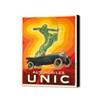 Unic (16"W x 20"H x 1.5"D)