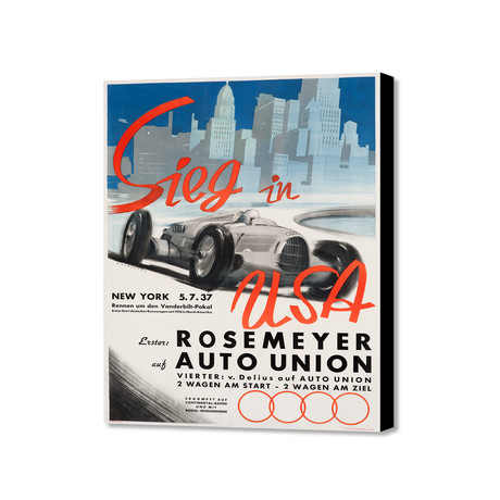 Sieg In USA (16"W x 20"H x 1.5"D)