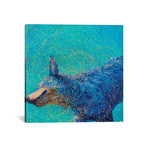 Shaking Blue Heeler (18"W x 18"H x 0.75"D)