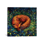 Fox Nap (18"W x 18"H x 0.75"D)