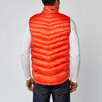 Featherweight Performance Vest // Orange (XL)