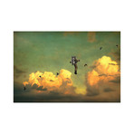 Icarus (16"L x 20"W)