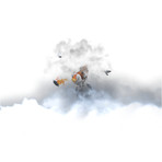 Follow the Leader (16"L x 20"W)