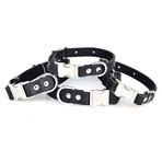 Quick Release Collar // Black (Small Dog)