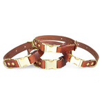 Quick Release Collar // Tan (Small Dog)