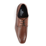 Dingo Lace-Up Brogue // Brown (UK: 8)