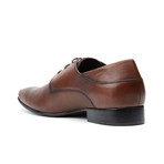 Dingo Lace-Up Brogue // Brown (UK: 14)