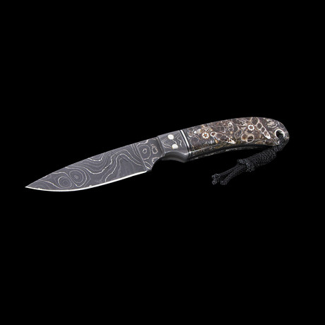 Fossil Elimia Tenera Fixed Blade Knife