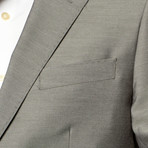 Venezia Modern Fit Suit // Light Grey (US: 40R)