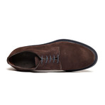 Suede Derby // Dark Brown (Euro: 40)