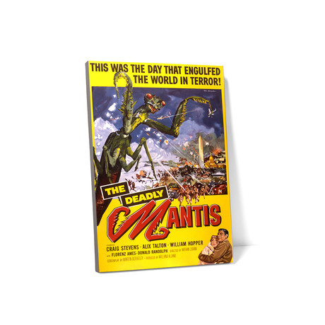 The Deadly Mantis (16"W x 20"H x 0.75"D)