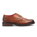 Faraday Wingtip Derby // Brown (Euro: 42)