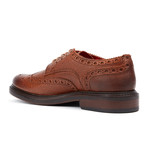 Faraday Wingtip Derby // Brown (Euro: 42)