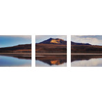 Antelope Island (Canvas // Triptych // 18"L x 18"W Panels)