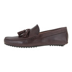 Loafer With Tassels // Brown (Euro: 46)