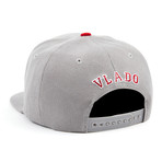 Leo Snapback Hat // Grey + Burgundy