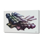 Woven (24"W x 16"H // Stretched Canvas)