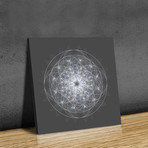 Dynamic II (Print // 20" x 20")