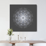 Dynamic II (Print // 20" x 20")