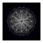 Dynamic I (Print // 20" x 20")