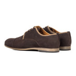 Suede Shoe // Brown (Euro: 43)