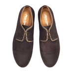 Suede Shoe // Brown (Euro: 43)
