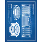 Levi's Stadium // Blue Grid (11"L x 17"W)