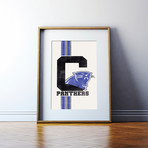 Carolina Panthers (11"L x 17"W)