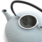 Dotted Cast Iron Teapot