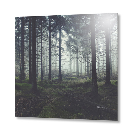 Through The Trees // Aluminum Print (16"L x 16"H)