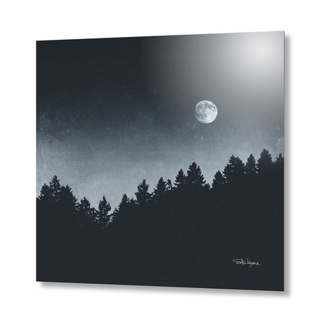 Under Moonlight // Aluminum Print (16"L x 16"H)
