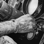 Vipera // Stainless Steel (Size 7.5)