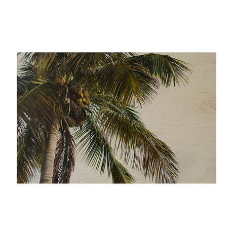 Sanibel Palm // Wood Print (24" x 16")