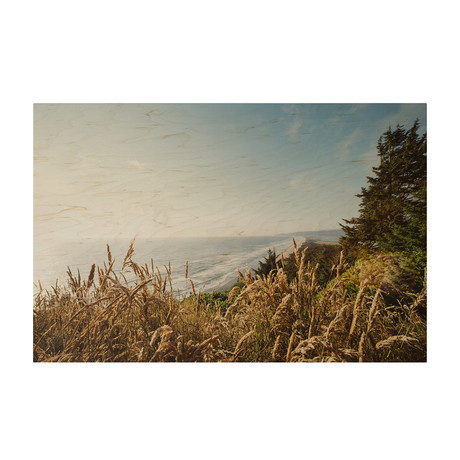 Oregon Coast // Wood Print (24" x 16")