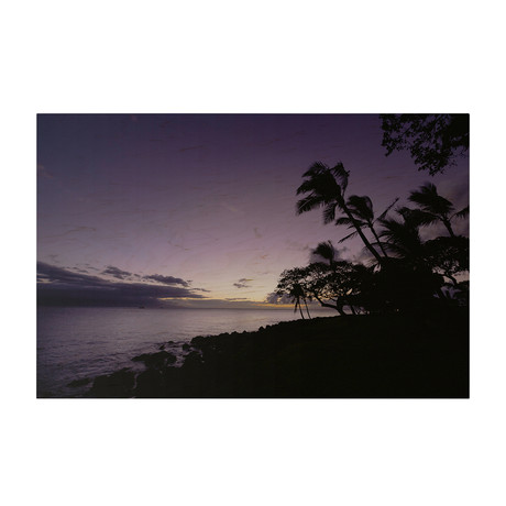 Hawaiian Purple Sunset // Wood Print (24" x 16")