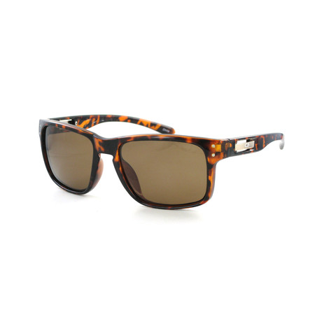 Tortoise Sunglasses // Tort + Brown Lenses