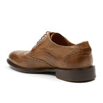 Fulton Brogue Shoe // Elm (US: 9)