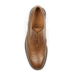 Fulton Brogue Shoe // Elm (US: 9)