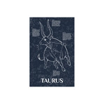 Taurus