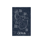 Cetus