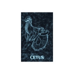 Cetus