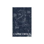 Capricornus