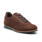 Xray Shoes // Signatus // Chocolate Brown (Euro: 41)