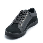 Baileyi // Black (Euro: 43)