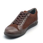 Arctos // Brown (Euro: 45)