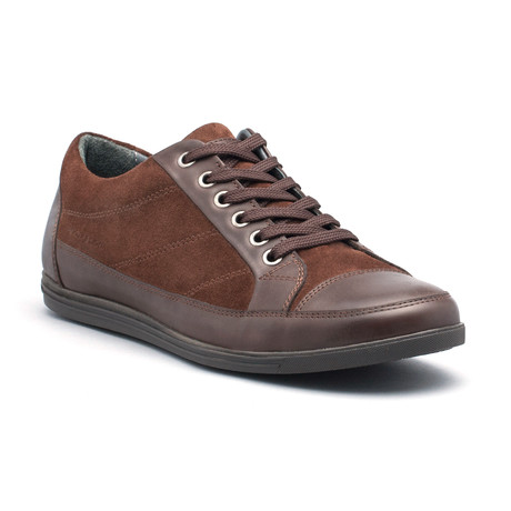 Arctos // Brown (Euro: 40)